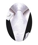 Hi-Tie Ties for Men Paisley Mens Tie Set Wedding Formal Business Striped Tie Sets,White Paisley