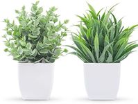 Der Rose 2 Pack Small Fake Plants M