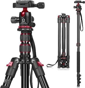 Tripod for