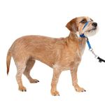 PetSafe Sure-Fit Harness, Adjustable Dog Harness from The Makers of The Easy Walk Harness