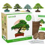 Bonsai Tree Seed Starter Kit - All You Need to Grow 4 Bonsai Trees from Seeds. All-in-One Indoor Outdoor DIY Beginner Grow kit for Men & Women. Original Christmas Gift Ideas for Mom & Dad Starter Kits