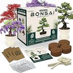 Bonsai Tree Kits - Bonsai Starter K