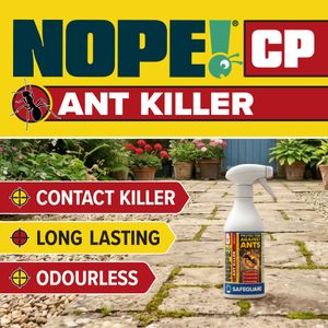 NOPE! Ant Killer Spray 500ml – Fast Acting, Long-Lasting Indoor/Outdoor