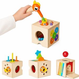 Paisure Montessori Toys for 1-3 Year Old – 5-in-1 Wooden Activity Cube with Magnetic Bird Feeding Game, Busy Toy for Fine Motor Skills, Shape Sorter & Color Matching, Toddler Gift for Boys Girls 18M+