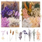 QINREN 2 Packs Real Natural Dried Flowers, Mixed Dried Pressed Flowers and Leaves Set Artificial Everlasting Flowers for DIY Arts Resin Scrapbooking Jewelry Making Floral Decorations