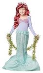 Child Mermaid Costume Small (6-8)