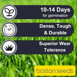 Boston Seeds Premier Grass Seed 5kg – Premium Professional Lawn Mix