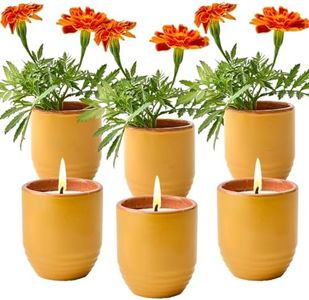 Modern Sprout - 2-in-1 Soy Candle & Planter Set - Patio Goals 3-Pack (Bug-Repelling Citronella, Rosemary, Cedarwood, Mint) 6 Oz Outdoor Scented Candles with Marigold Seeds - 38–40 Hour Burn