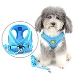 Zunea Small Dog Harness and Lead Set No Pull Puppy Vest Harnesses Adjustable Reflective Soft Mesh Step-in Pet Cat Harness Escape Proof for Walking, Bright Colors for Dogs Girl Boy Lightblue XS