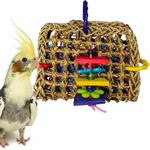 Super Bird Creations Mini Foraging Pouch Toy for Birds