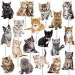 36pcs Baby Cat Cupcake Toppers Cute
