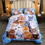 Kids Cute Cat Comforter Cartoon Pet Cats Bedding Set for Children Boys Girls Cute Kitten Print Comforter Set Cat Lover's Animal Themed Design Quilt Set Bedroom Collection 3Pcs Full Size…