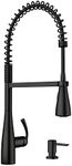 Moen Essie Matte Black One-Handle H