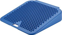 Gymnic "Movin' Sit Air Cushion - Blue