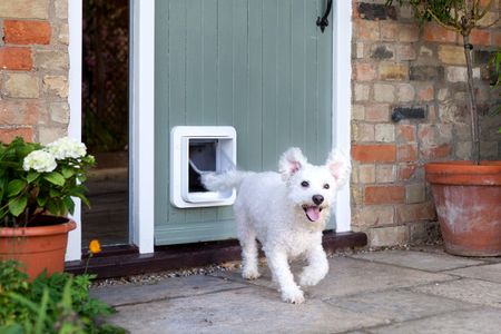 SureFlap Microchip Pet Door – White, Secure Cat & Small Dog Access