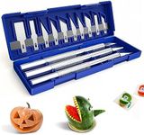 13 Pcs Precision Craft Hobby Knife 