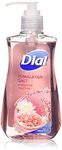 Dial-hand-soaps