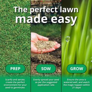 A1 Lawn Grass Seed, 5kg – Premium Quality for Lush Lawns