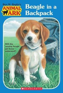 Beagle in 