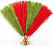 Acfruits Red and Green Pampas Grass