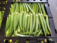 Fresh Okra/Okro by Oluzon - 100g