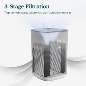 LEVOIT Dual HEPA Air Purifier – Gray