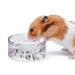 Niteangel Hamster Feeding & Water Bowl: - Mount Fuji Series Glass Drinking Bowls for Dwarf Syrian Hamsters Gerbils Mice Rats or Other Similar-Sized Small Pets (White, 50 ml)