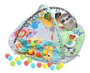 VTech 7-in-1 Touch & Feel Sensory Play Gym | Grow with Baby Developmental Gym | Suitable for Ages 0 - 24 Months, English Version