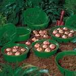 Flower Bulb Basket for Easy Bulb Planting and Lifting Leaving No Stray Bulbs 20 x Bulb Baskets by Thompson and Morgan