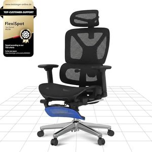 FLEXISPOT ErgoX Ergonomic Office Chair With 3D Armrests & Headrest Mesh Desk Chair with 5D Lumbar Support & Seat Depth Adjustment Task Chair with Footrest Adaptive Comfort for Home & Work