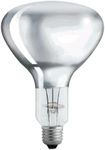 Genuine Philips Halogen Heat Catering Lamp Light Bulb 250W