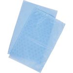 Browin 411303 Cheese Cloth Set of 2 for Squeezing Cheese Press, 20 x 30 x 0.2 cm Blue