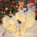 Lightess Outdoor Christmas Decorati