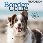 Border Collies Photobook: A Wonderf