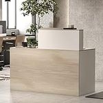 AIEGLE Reception Desk with Counter 