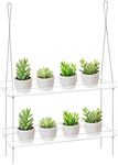 Sumerflos 2-Tier Acrylic Window Box