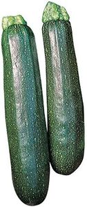Burpee Sure Thing Zucchini Summer Squash Seeds 25 seeds