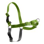 PetSafe Easy Walk Dog Harness, No Pull Dog Harness, Apple Green/Gray, Medium/Large