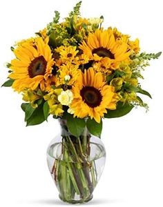 Benchmark Bouquets, Rays of Sunshine, Glass Vase Included, Gift Fresh Flowers for Birthday, Anniversary, Get Well, Sympathy, Congratulations, Thank You, Just Because