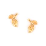 Shaya Women By Caratlane Leaf Of Faith Earrings In Gold Plated 925 Silver