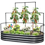 KING BIRD Raised Garden Bed with Wall Trellis Galvanized Planter Garden Box Outdoor for Gardening, Climbing Vegetables, Flowers 5.9x2.95x0.98 Ft, Dark Grey