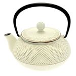 Iwachu Japanese Iron Tetsubin Teapot, Gold/White