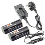 DSTE 2x NB-9L Rechargeable Li-ion Battery + DC110U Travel and Car Charger Compatible with Canon PowerShot ELPH 510 520 530 HS N SD4500 IS IXUS 500 510 1000 1100 HS IXY 1 IXY 3 IXY 50S IXY 51S Camera