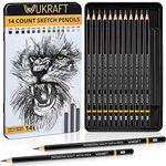 Drawing Pencils for Artists 14 Pcs - 12B – 6H Sketching Pencils Set with Metal case for Drafting, Sketching, Shading, Drawing, Illustrations – Ideal for Artists, Students & Beginners of all Age Groups