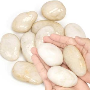AQUALYRA Large Natural Polished River Rocks (2-3 Inch, 43 lb, White)