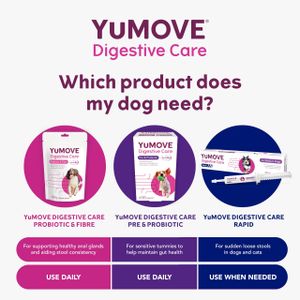 YuMOVE Dog Probiotics Tablets – 120 Count Digestive Supplement