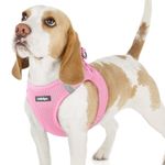 rabbitgoo Dog Harness Small Dog, Step-in Soft Mesh Puppy Harness with Reflective Strips, Lightweight Breathable Pet Vest for Walking Training, Light Pink, M
