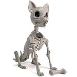 JOYIN Halloween Plastic Chihuahua Dog Skeleton 12.6 inches Plastic Puppy Bones Skeleton with Posable Joints for Halloween Indoor Outdoor Skeleton Decorations, Graveyard Party Decor