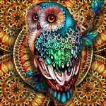 HASTHIP® Diamond Painting Kit 5D Diamond Art Kit for Adults & Kids, 30 * 30cm Owl Full Drill Rhinestone Embroidery Cross Stitch Pictures Arts Craft for Home Wall Decor