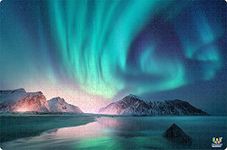 Webby Aurora Borealis Jigsaw Puzzle | Best Gift for Teenager | Fun and Challenging | Puzzle for Adult and 14+ Kids, 1000 Pcs Puzzle